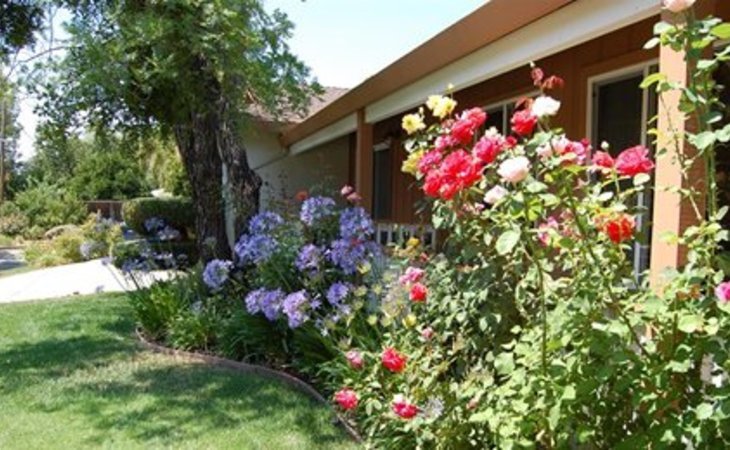 belrose-care-home-ii-94598