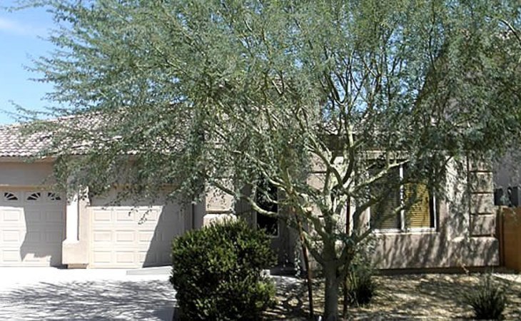 love-care-assisted-living-85388