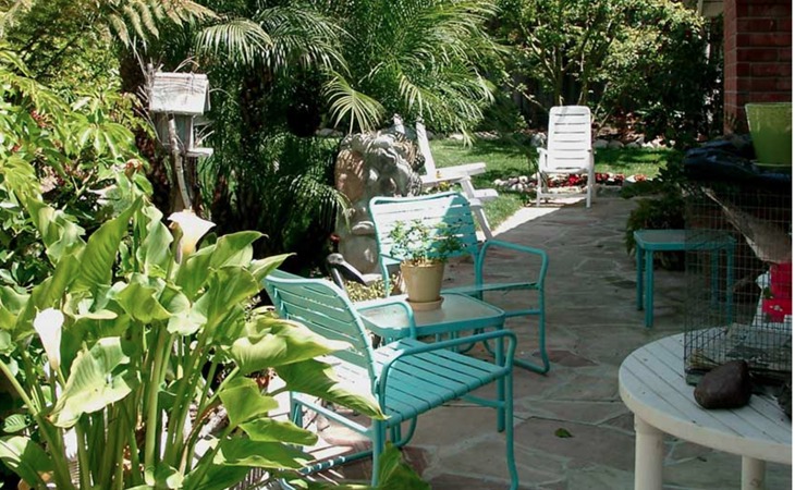 accent-on-seniors-92672