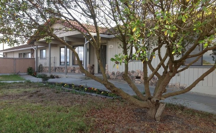 songbird-home-in-the-country-93908