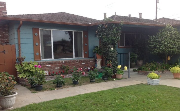 songbird-home-in-the-city-93906