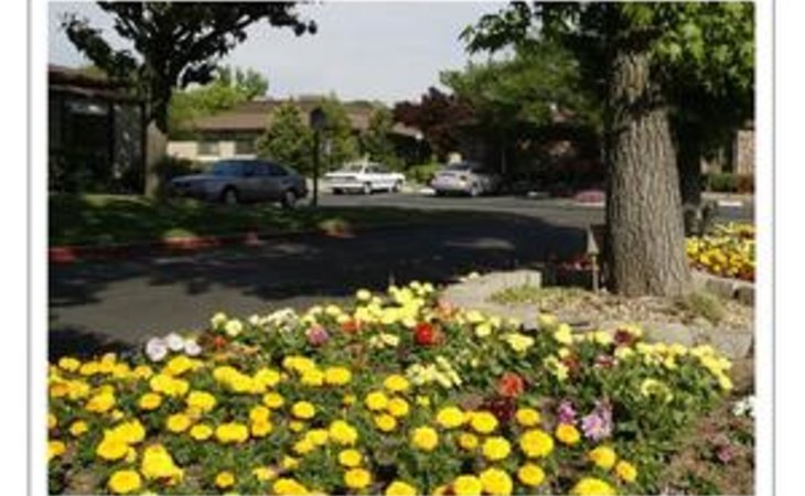 arcade-creek-manor-95621-1242606_3