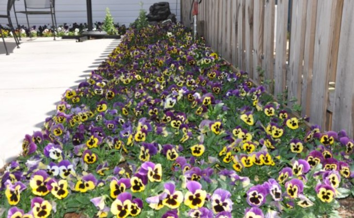 eastover-gardens-special-care-28312-1248040_3