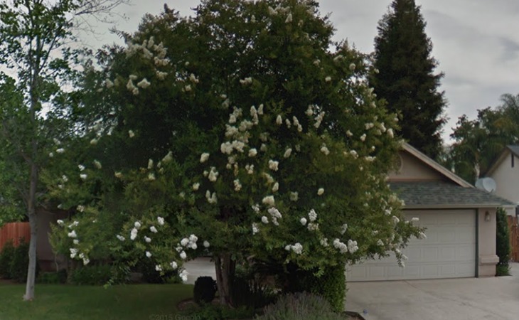 green-gables-care-home-4-93612