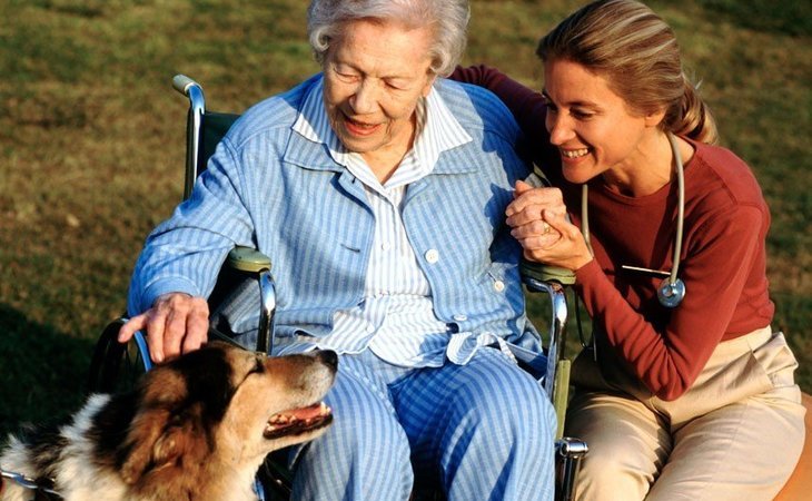 joyful-care-75252-1248564_3