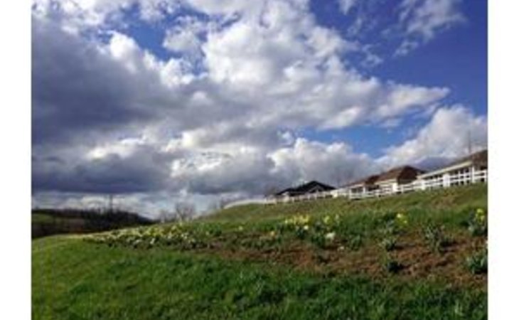 ligonier-gardens-personal-care-retirement-center-15658-1248652_10