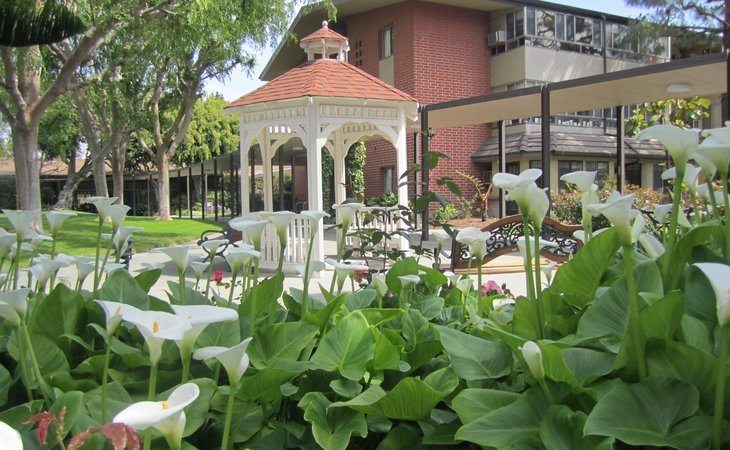 rowntree-gardens-90680-1249521_3