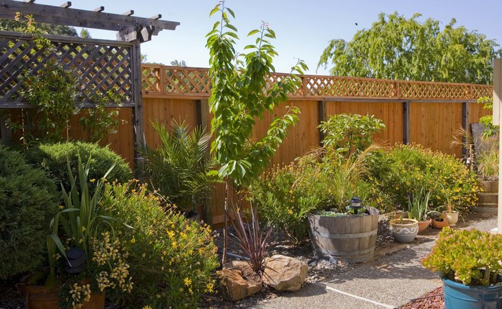 lucas-valley-lodge-novato-ca-94945-1249575_6
