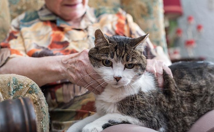 albuquerque-grand-senior-living-87106-1250049_6