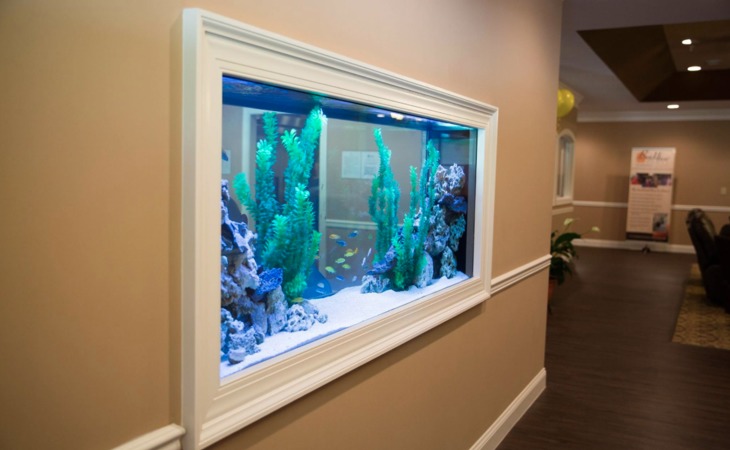 beehive-homes-of-gainesville-30501-1250219_3
