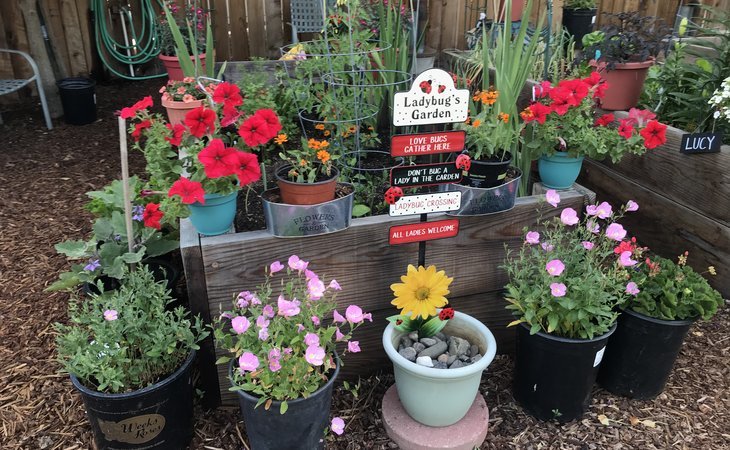 silverado-orchards-retirement-community-94574-1250506_12