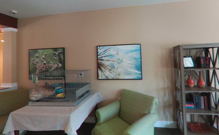 renew-saddle-rock-memory-care-80016-1250616_6