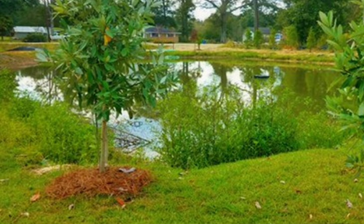maison-de-fleur-assisted-living-70726-1250830_1