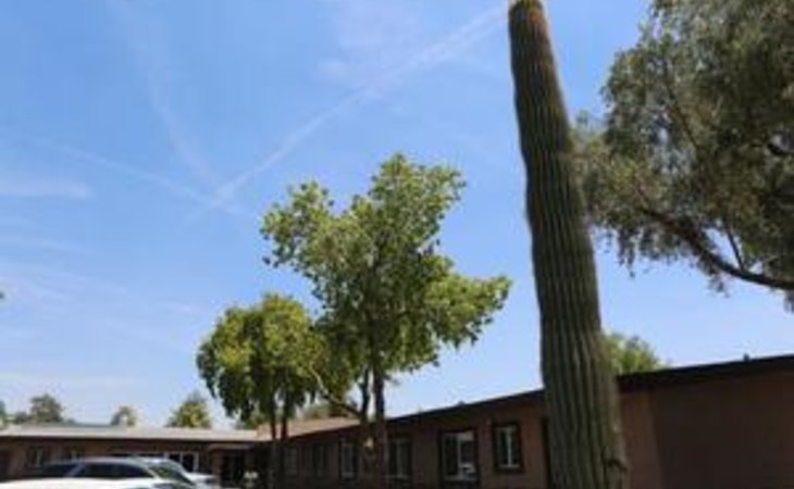desert-terrace-nursing-center-85008-12858_2