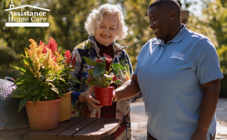 assistance-home-care-63119-1362122_8