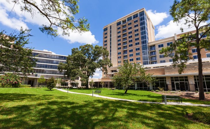 brazos-towers-at-bayou-manor-77025