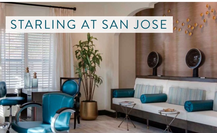 starling-of-san-jose-32257-1362567_5