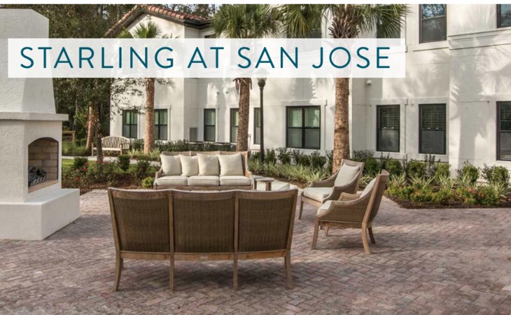 starling-of-san-jose-32257-1362567_6