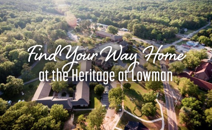 the-heritage-at-lowman-29036