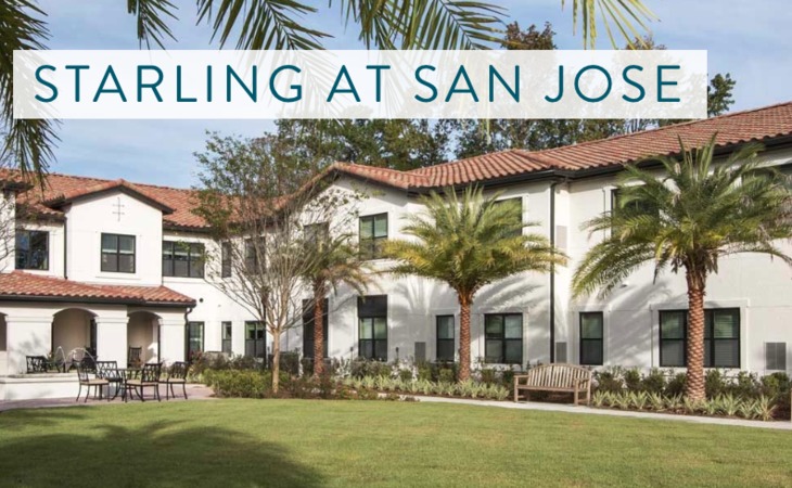 starling-of-san-jose-32257