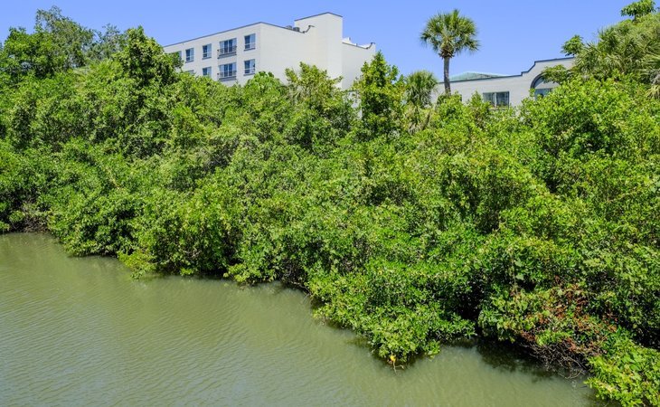 grand-villa-of-sarasota-34236-1363647_8