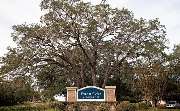 forest-oaks-of-spring-hill-34606-1363650_2