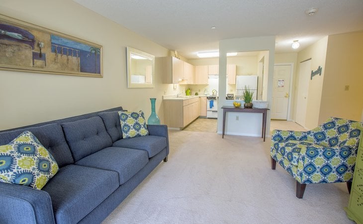 independence-village-of-avon-lake-44012