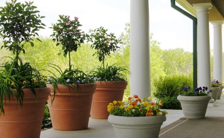 commonwealth-senior-living-at-stafford-22554-1364287_2