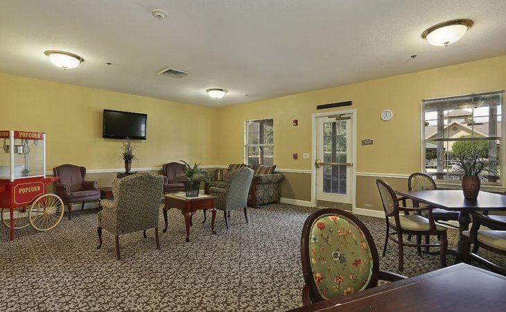 sodalis-tampa-33618-1364424_5