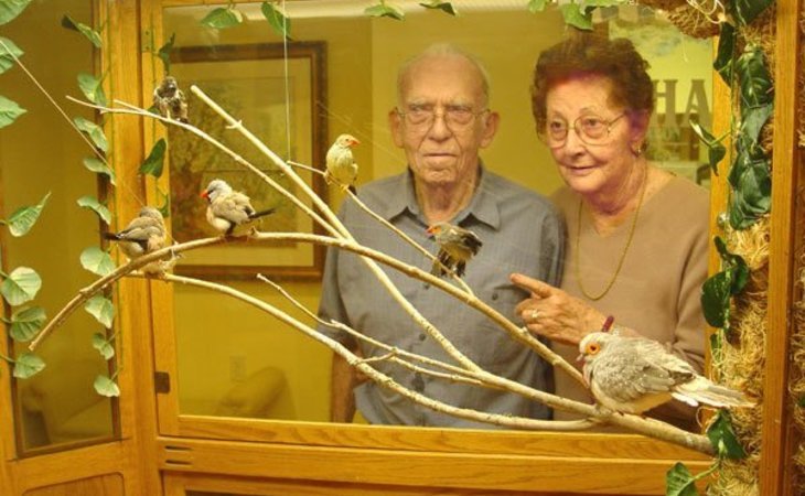 willow-falls-senior-living-60403-1364434_2
