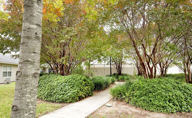brookdale-hollywood-park-78232-1364796_7