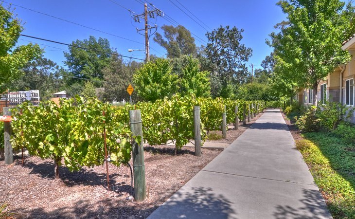 cogir-of-napa-road-95476-1365115_5