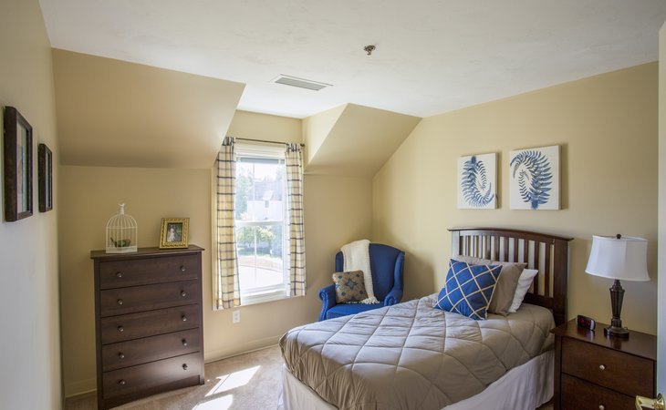 brookdale-spruce-wood-03824-1365131_9