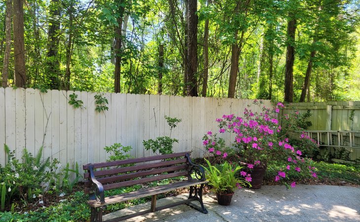 sodalis-jacksonville-32256-1365172_12