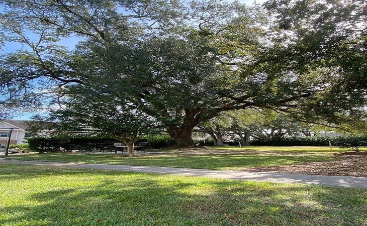 southern-pines-senior-living-31792-1365501_9