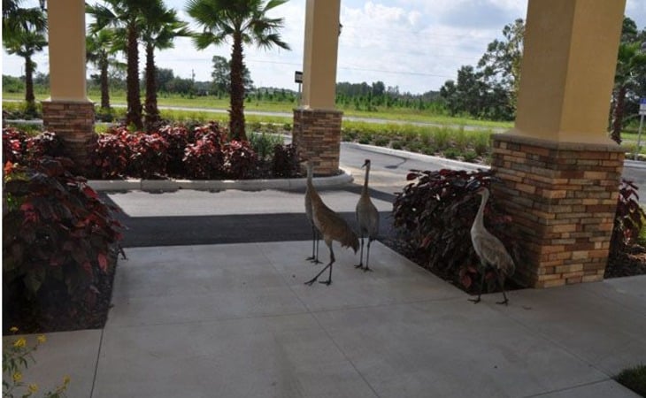 angels-senior-living-at-connerton-court-34638-1365599_7