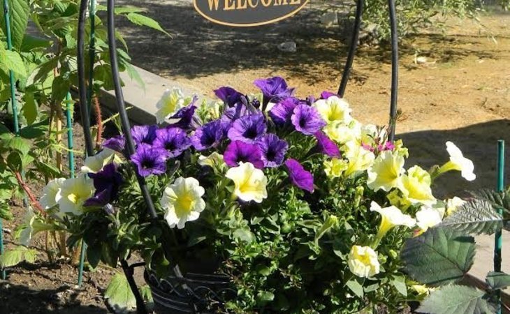 oakmont-of-roseville-95661-1365888_8