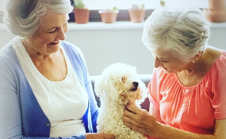 seniors-helping-seniors®-in-home-care-services-se-mi-48197-1368238_4