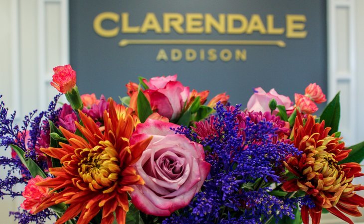 clarendale-of-addison-60101-1368296_5