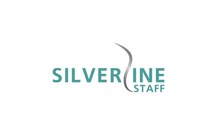 silverline-staff-inc-94596