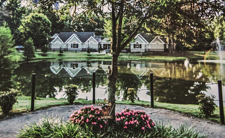foxbridge-38134-1371770_4
