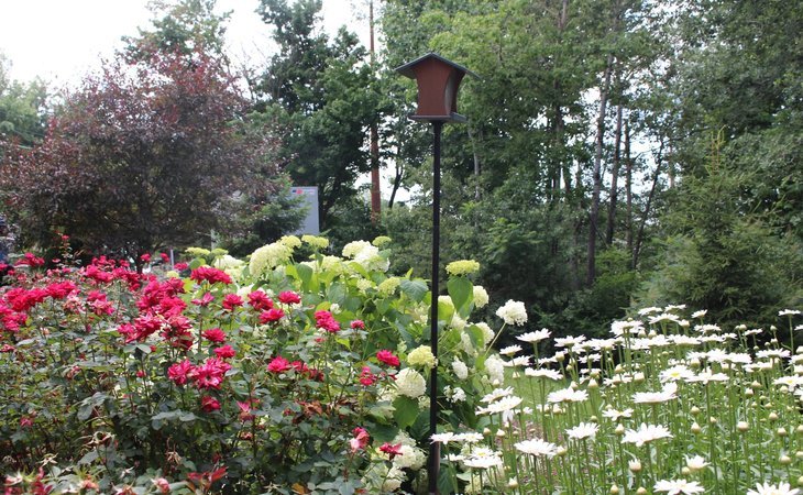 the-pines-senior-living-18411-1372386_12