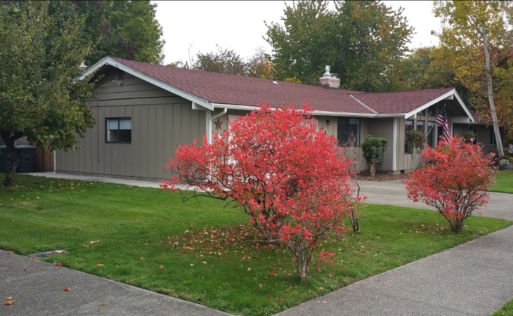 cardinals-cottage-adult-family-home-98371-1373491_4