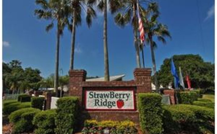strawberry-ridge-33594