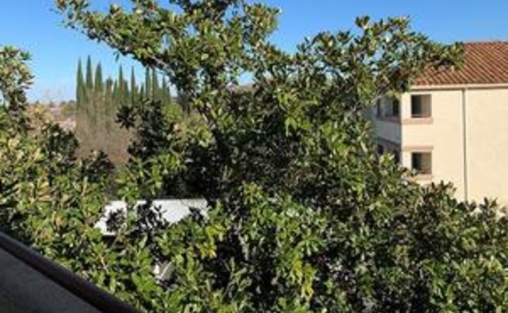 somerset-apartments-a-55-community-94509-1391471_43