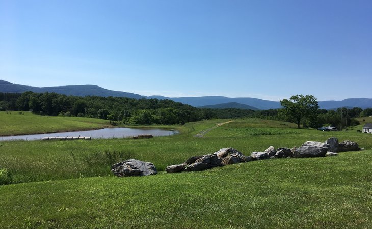 shenandoah-senior-living-22630-1419735_5