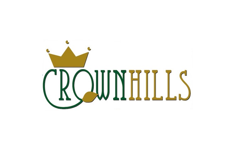 crownhills-enterprises-inc-21236