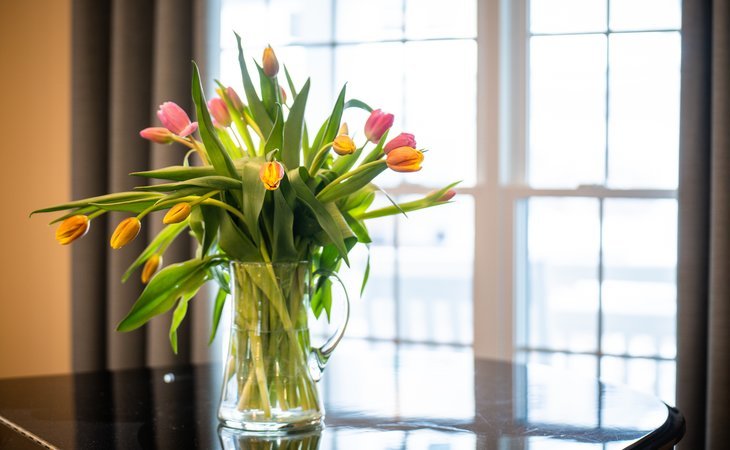 harbor-village-senior-communities-05403-1428971_9
