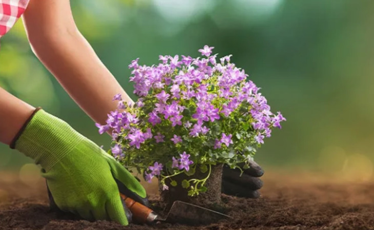 caregiving-of-north-jersey-07083-1430369_6