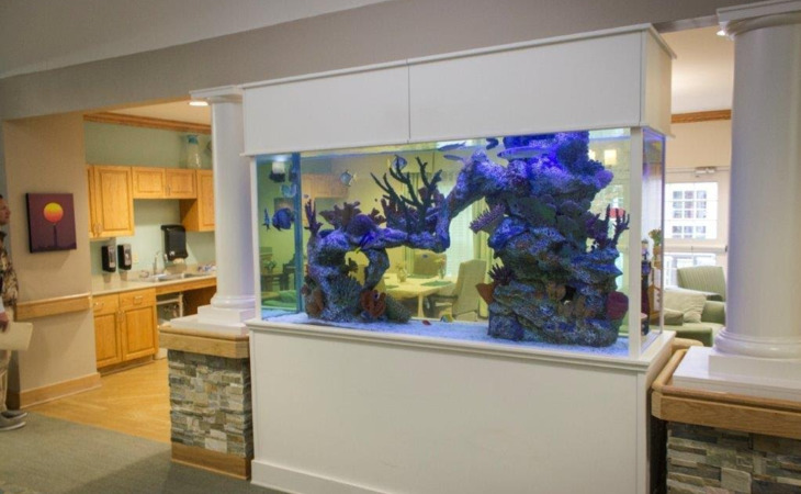 stonebridge-assisted-living-memory-care-28443-1431045_3